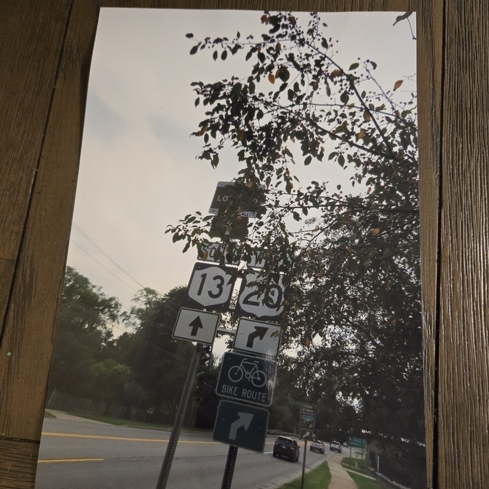 Street sign art